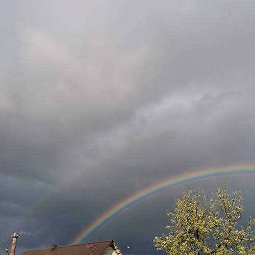 Photo #6090017