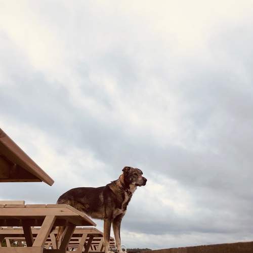 Photo #6090231