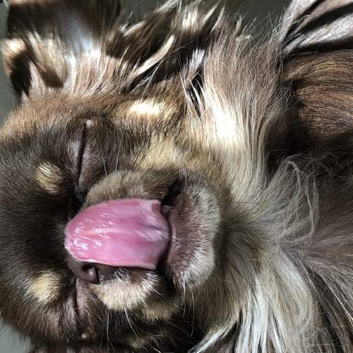 Photo #6090232