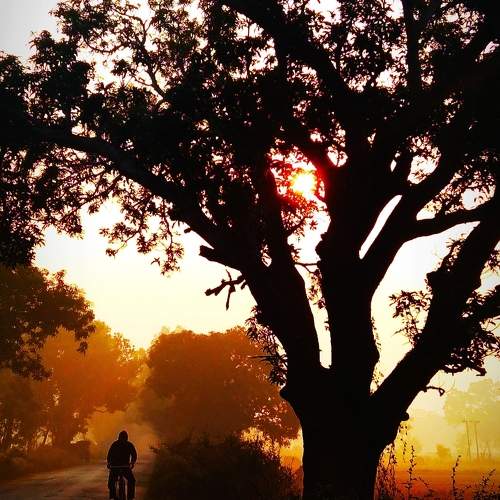 Photo #6090387