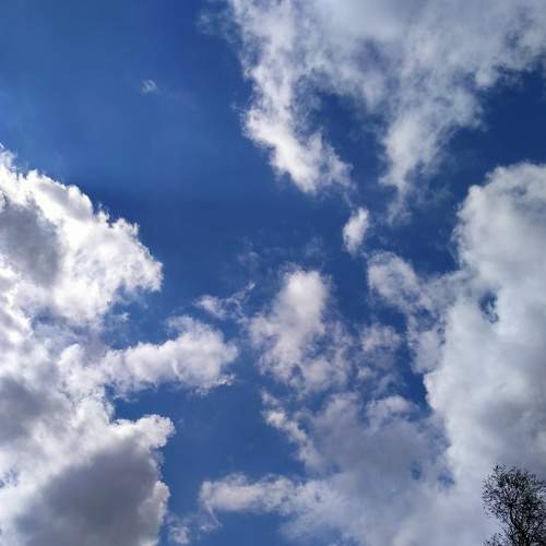 Photo #6090421
