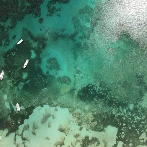 Photo #6090548