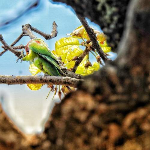 Photo #6091918