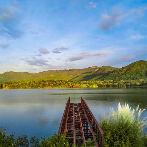 Photo #6092159