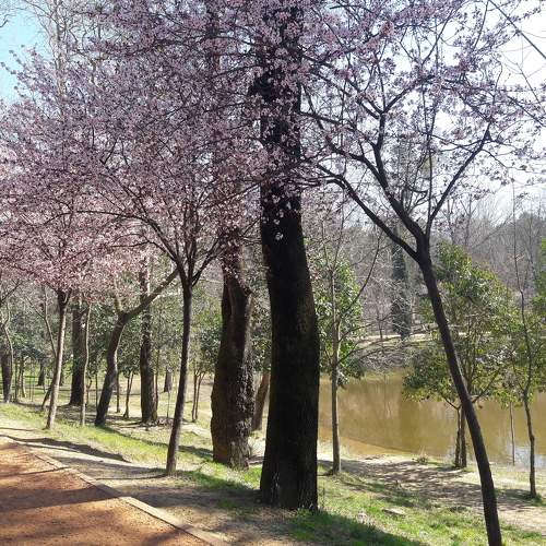 Spring view