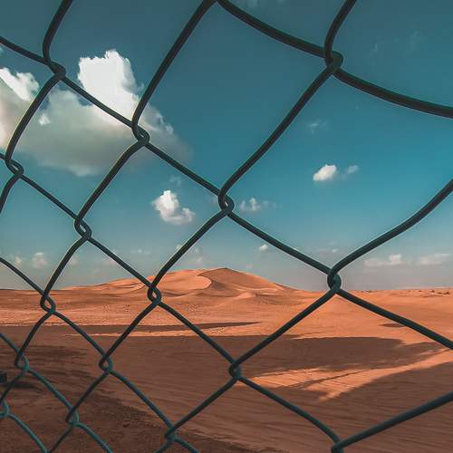 Photo #6092244