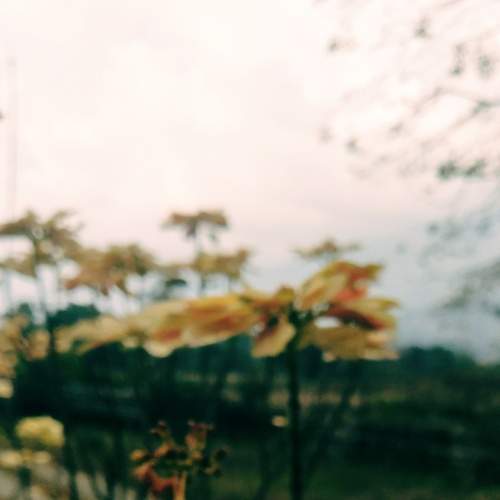 Photo #6092246