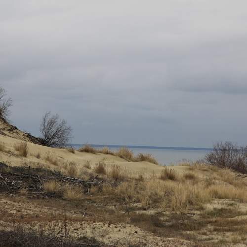 Photo #6092265