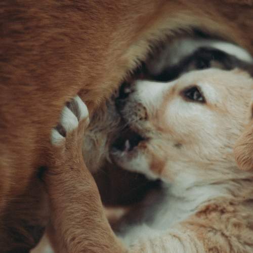 Photo #6092445