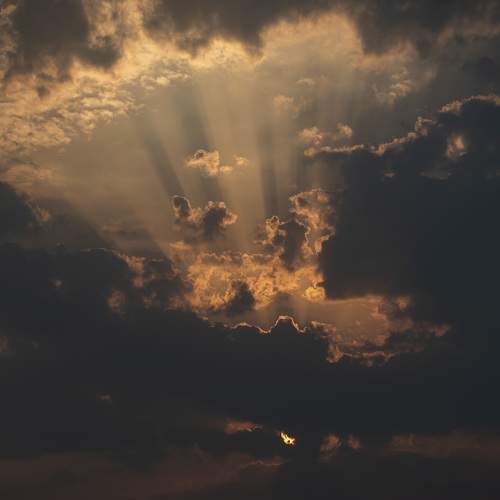 Photo #6092597
