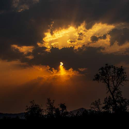 Photo #6092598