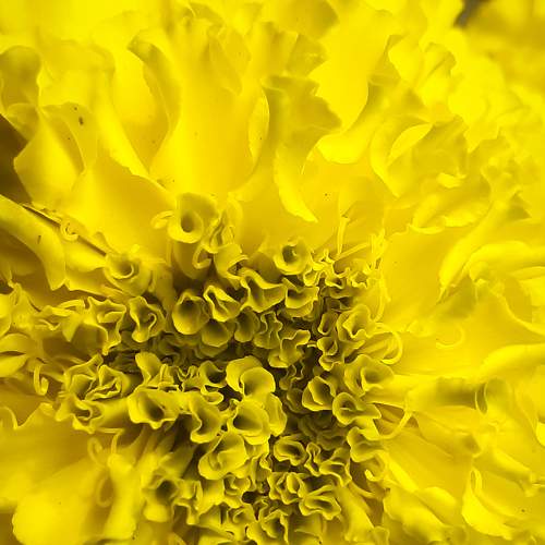 Photo #6092635