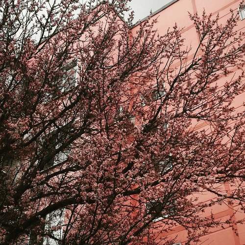 Photo #6092664