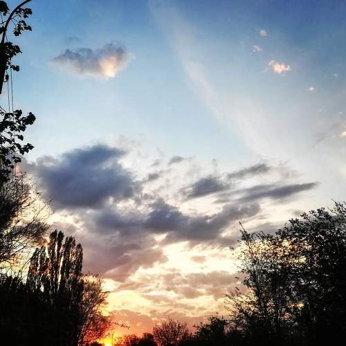Photo #6092821