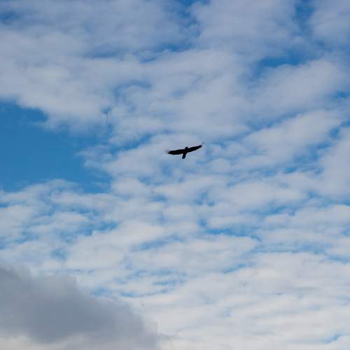Photo #6092986
