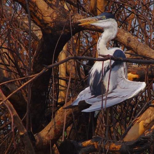 Photo #6093345