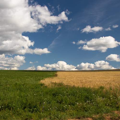 Photo #6093424