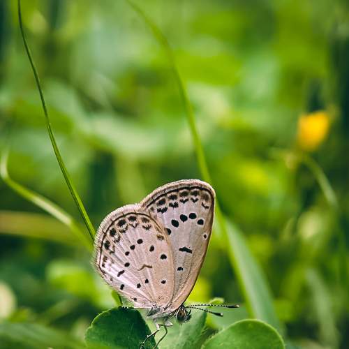 Photo #6093499