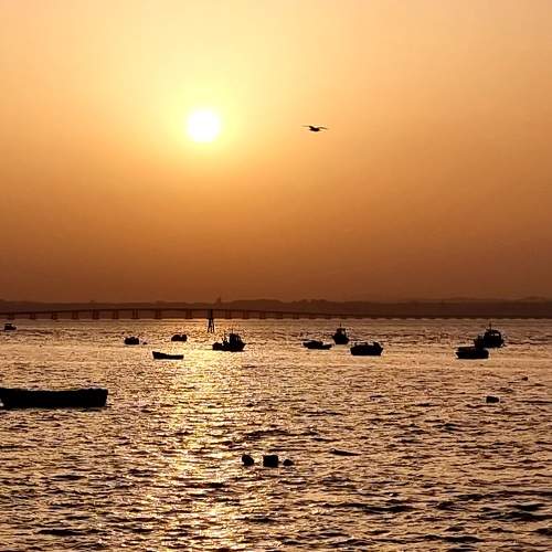 Sunset lovers