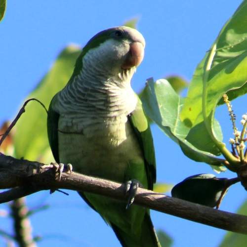 Photo #6094207