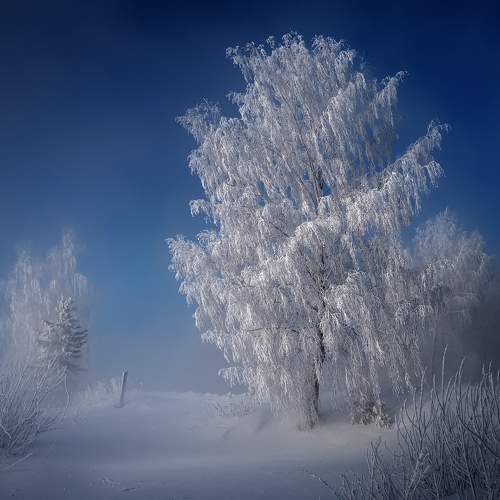 Photo #6094473