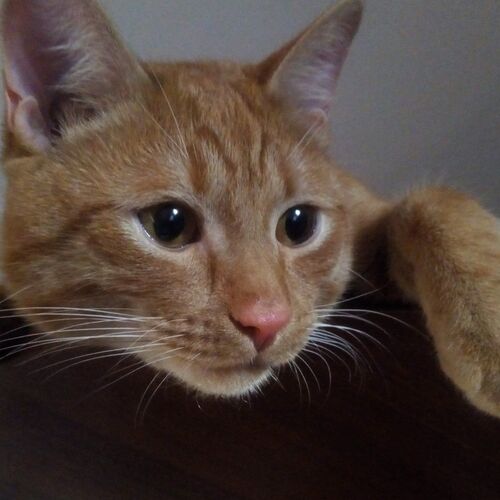 Photo #6094637