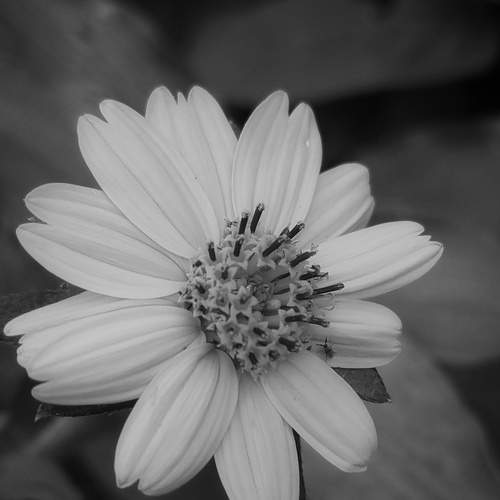 Фотография #6094692