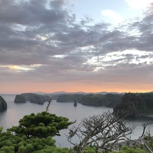 Photo #6095014