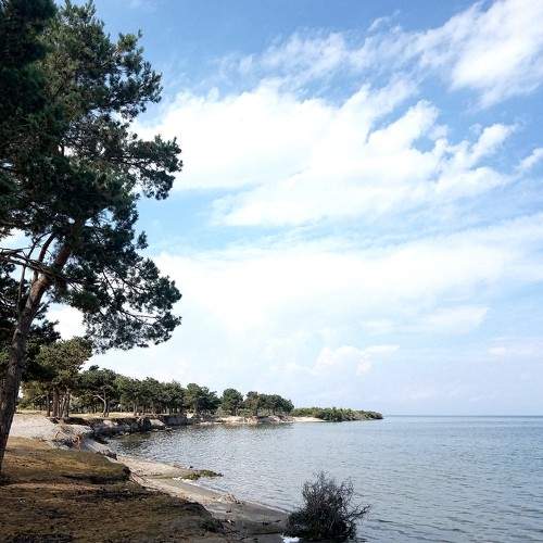 Photo #6095547