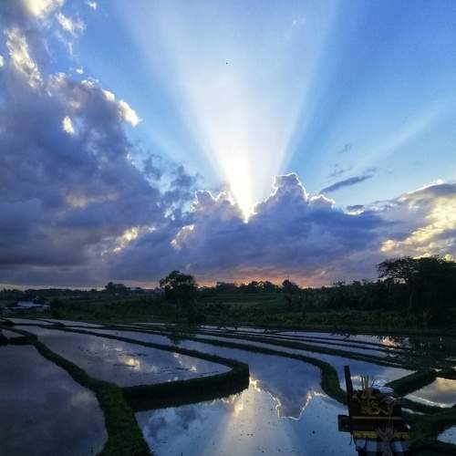Photo #6095679