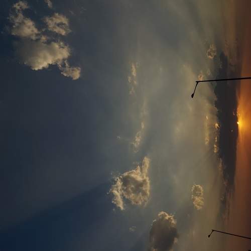 The Rays