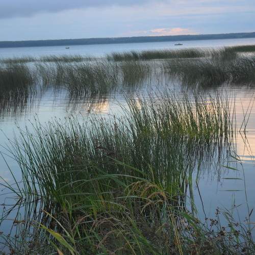 Photo #6096691