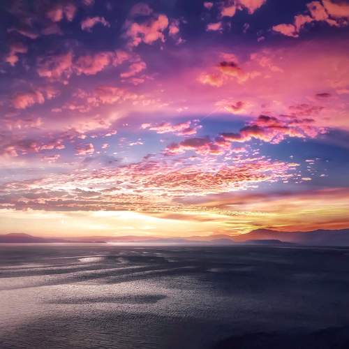 Photo #6096755