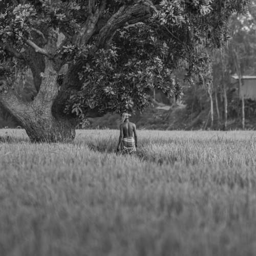 Photo #6096955