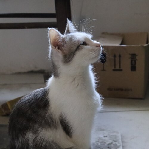 Photo #6097068