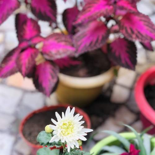 Photo #6097079