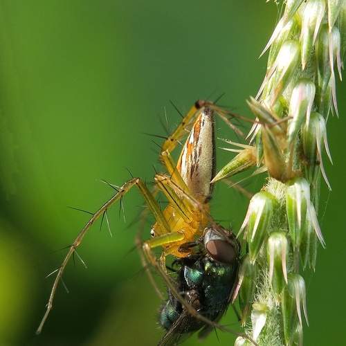 Photo #6097236