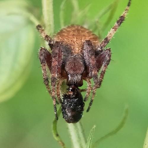 Photo #6097254