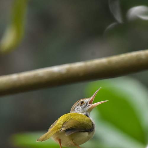 Photo #6097533