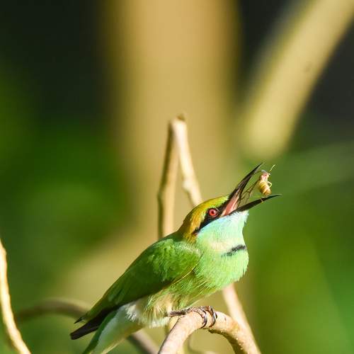 Photo #6097566