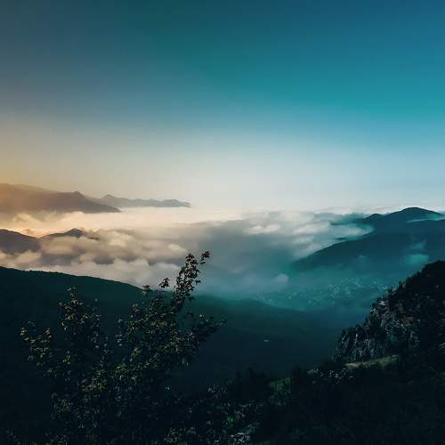 Photo #6097610