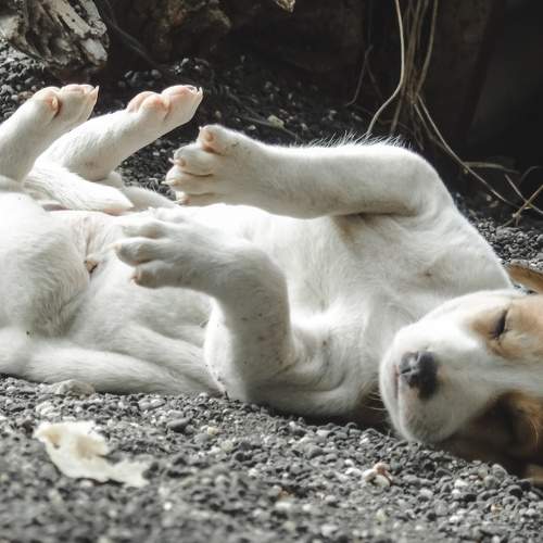 Photo #6098175