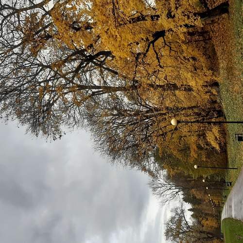 Autumn in Kadriorg