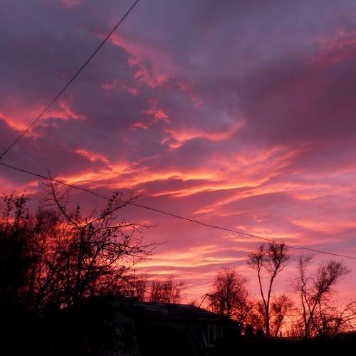 Photo #6098625