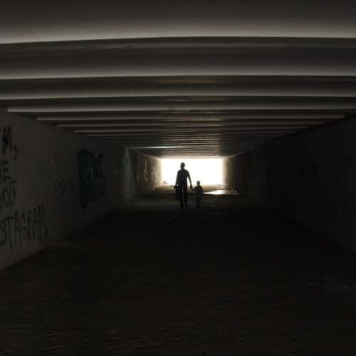 Photo #6098713