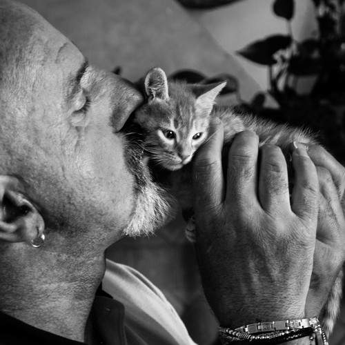 A big kiss for a little cat