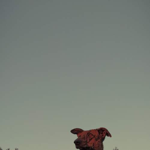 Photo #6099229