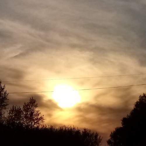 Photo #6099331