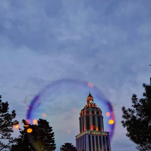 Photo #6099350