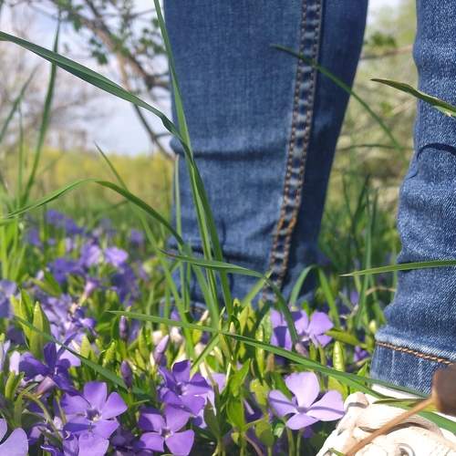 Photo #6099363